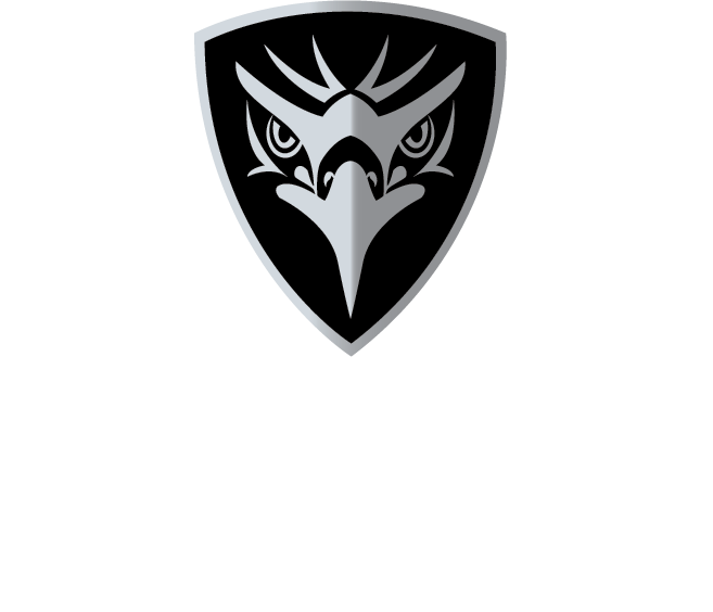 Precision Auto Center Logo